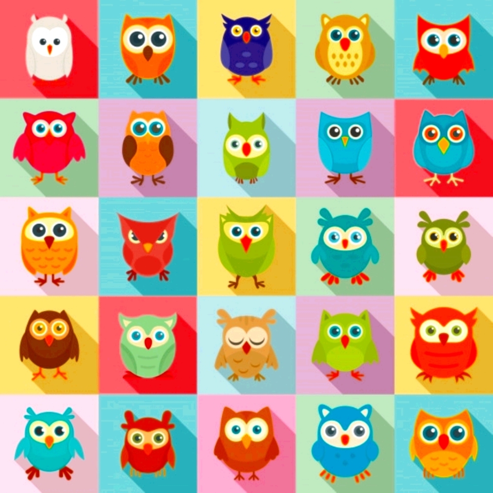 Meet your Posher, Callie